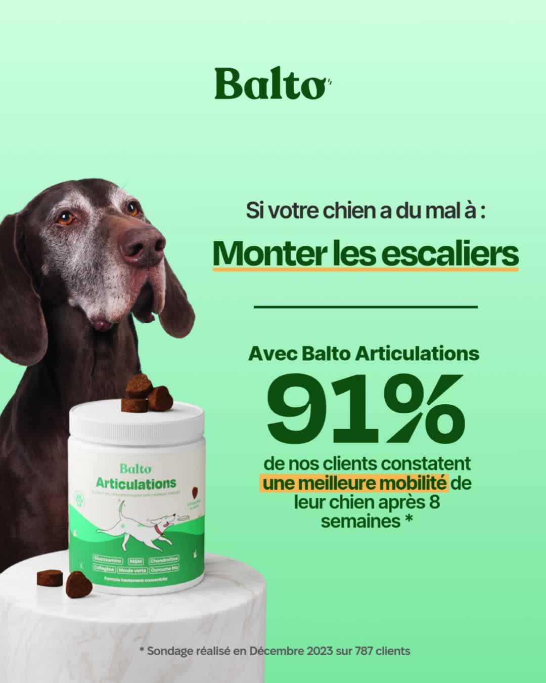 thumbnail-balto-statistique-0