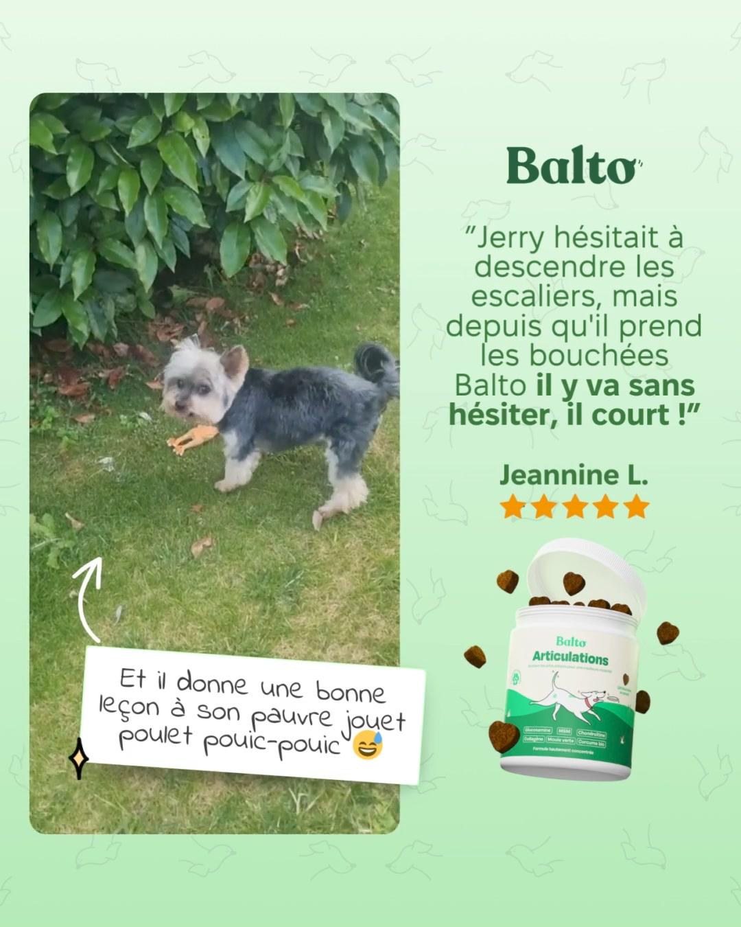 thumbnail-balto-split-screen-temoignage-0