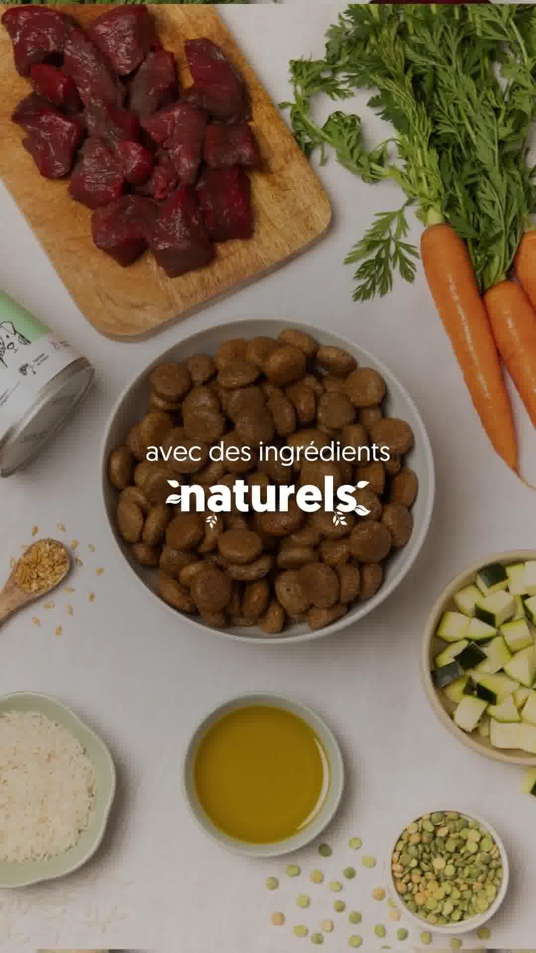 thumbnail-japhy-benefits-ad-0