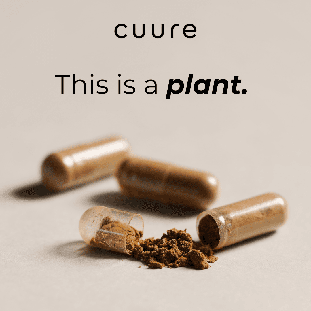 thumbnail-cuure-punchline-0