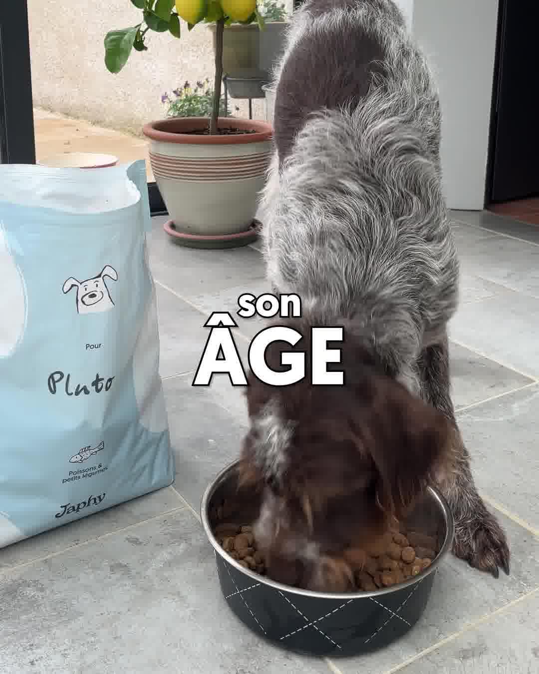 thumbnail-japhy-growth-society-0