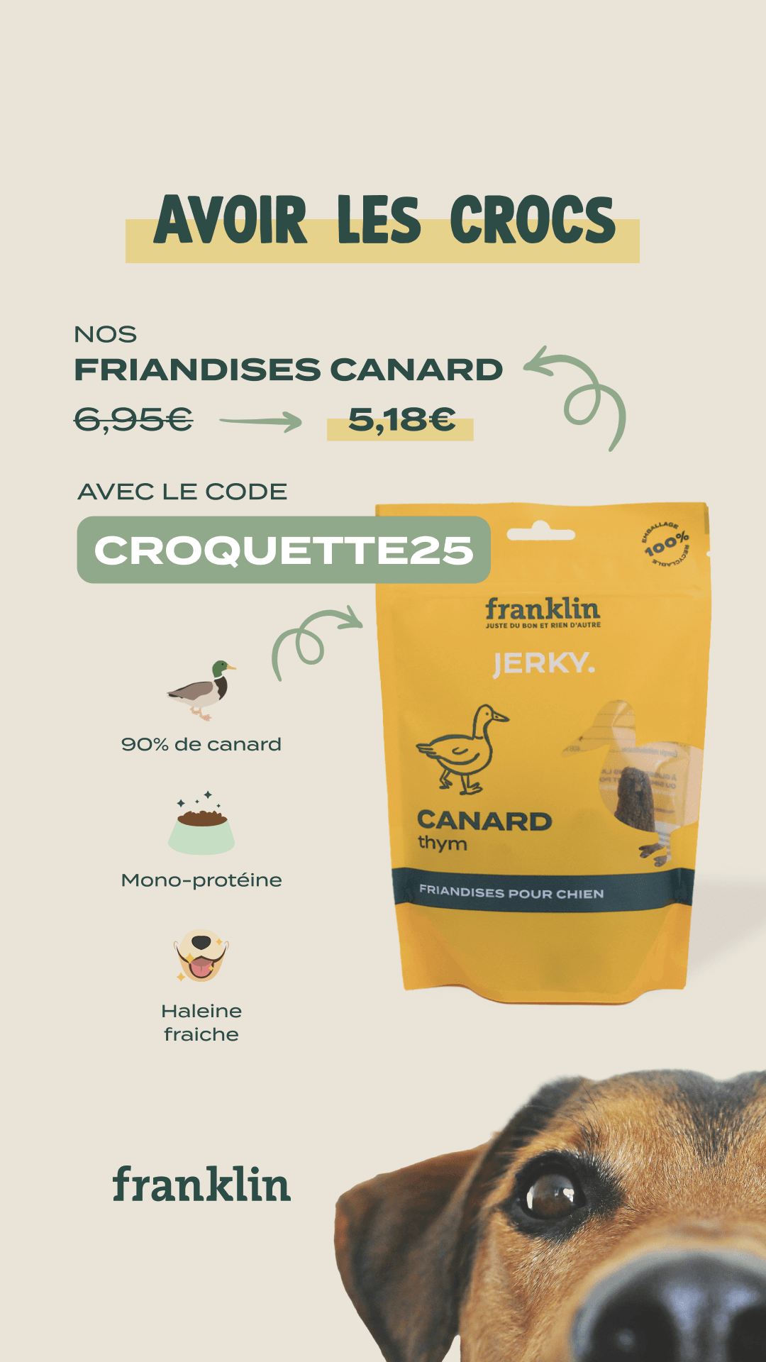 thumbnail-franklin-statique-punchline-0