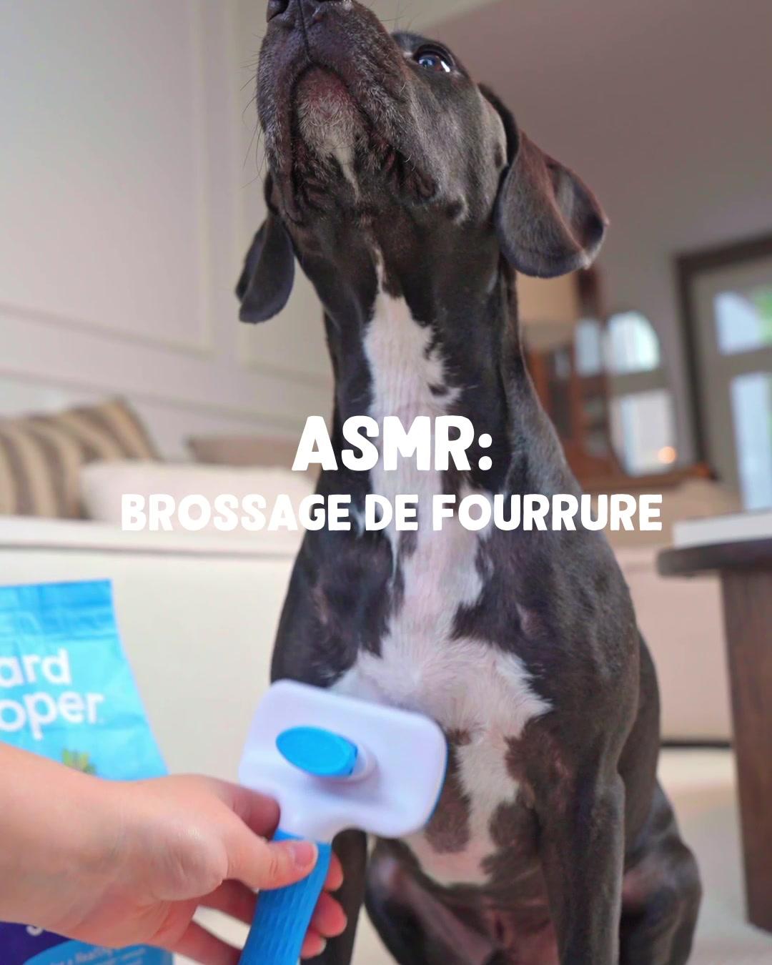 thumbnail-edgard-cooper-video-asmr-0