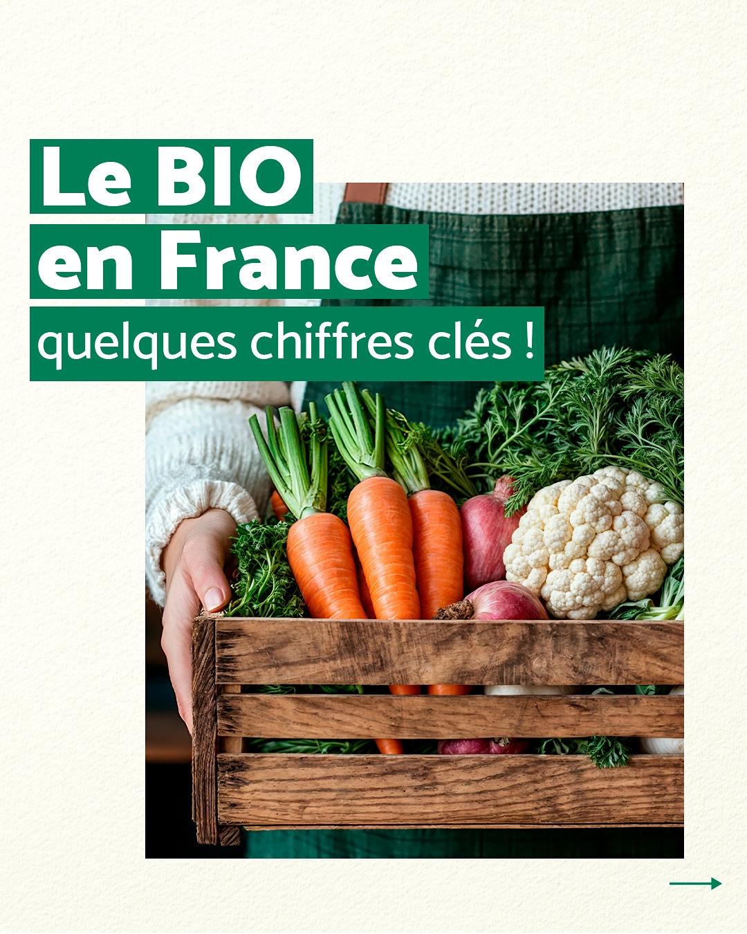 thumbnail-quitoque-carrousel-0