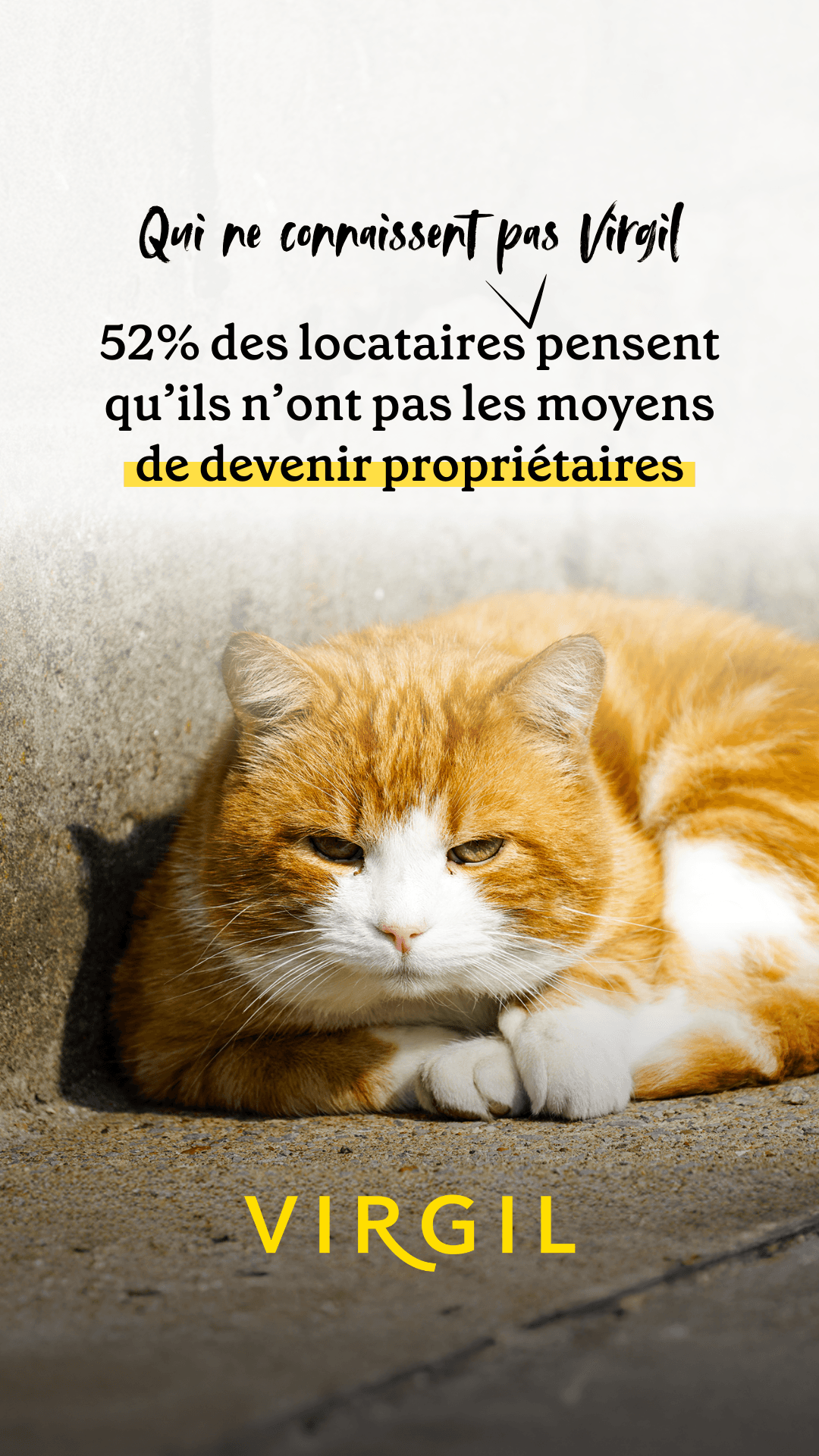 thumbnail-virgil-statistique-0