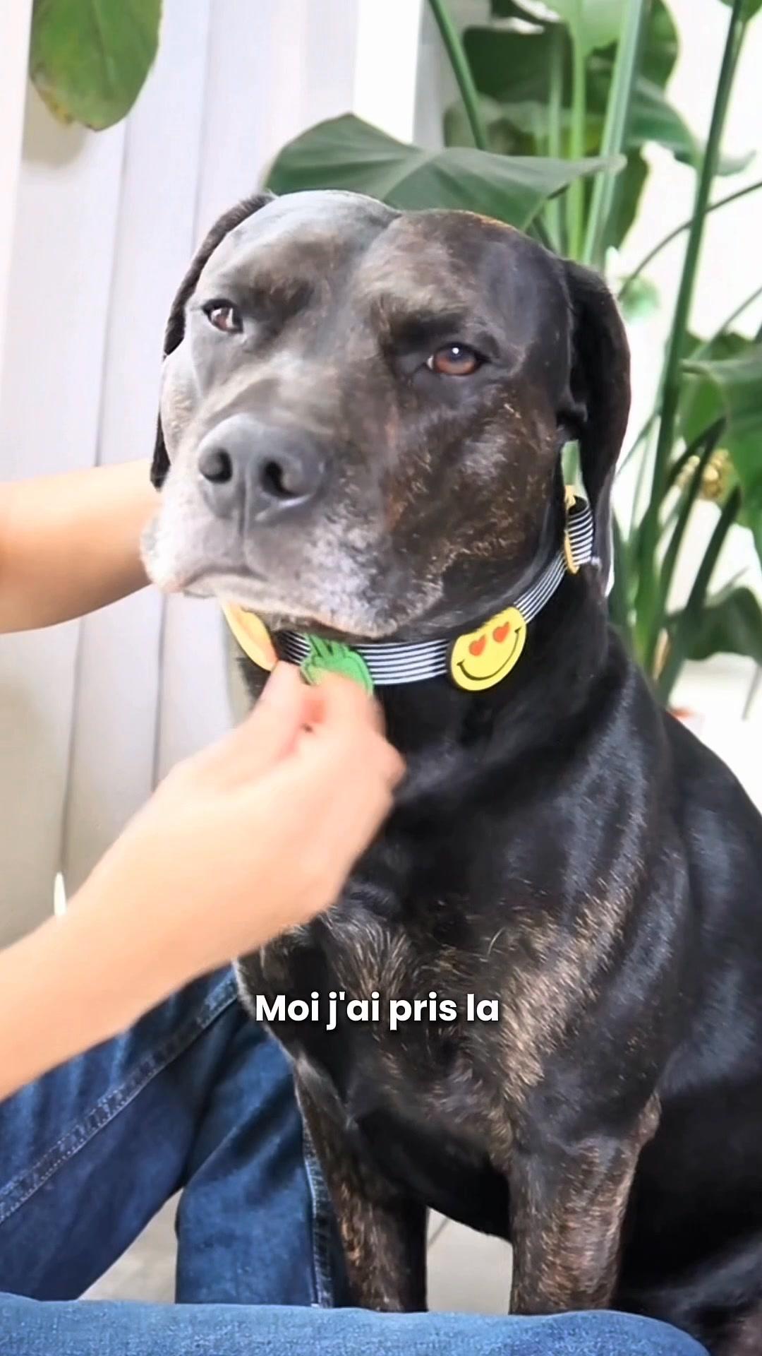 thumbnail-bandit-ugc-0