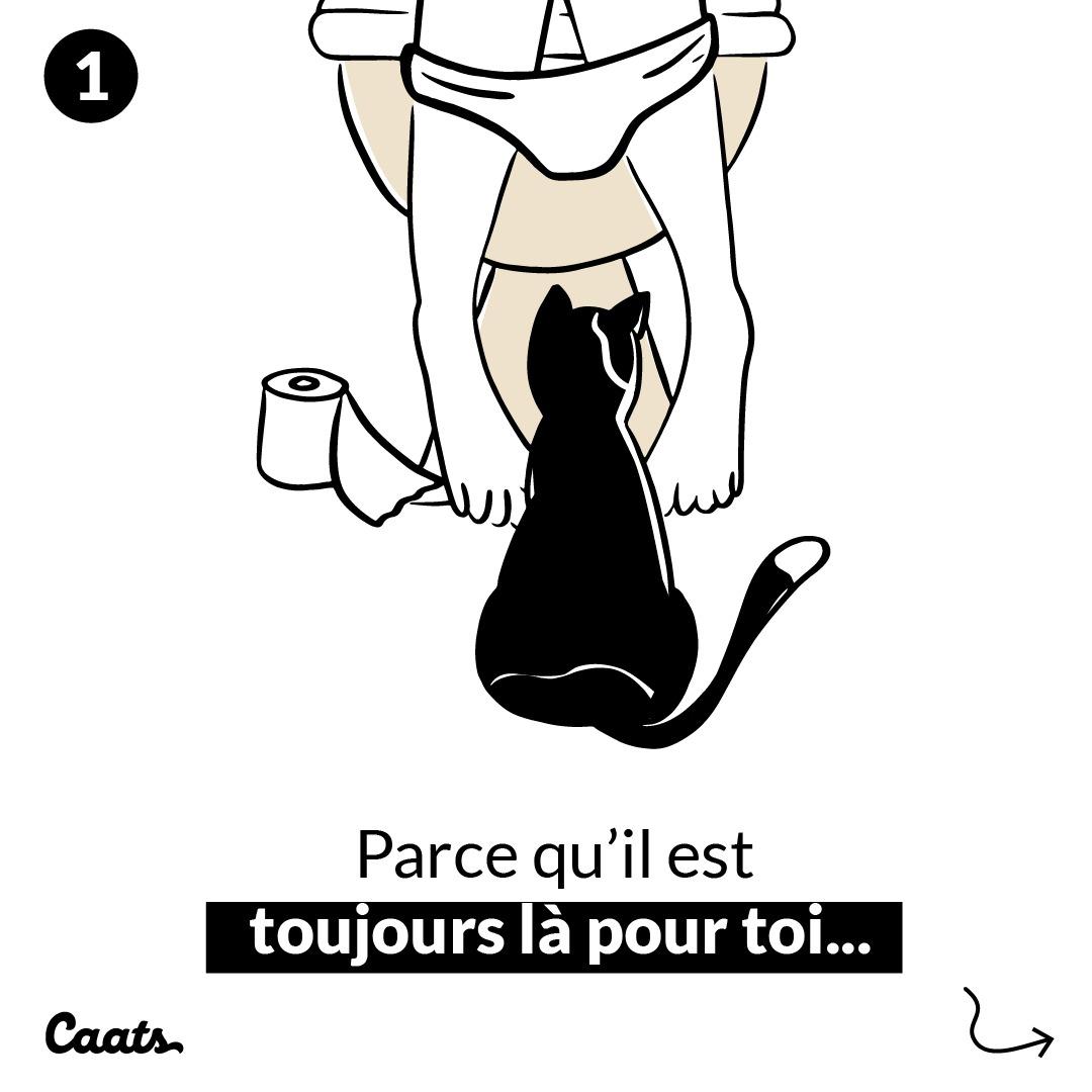 thumbnail-caats-carrousel-0