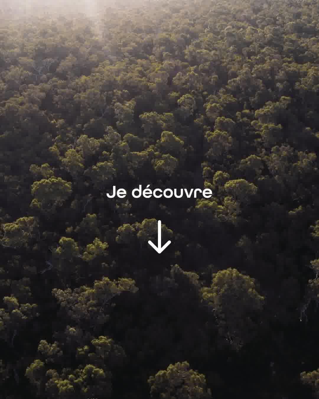 thumbnail-bloon-video-satisfaisante-0