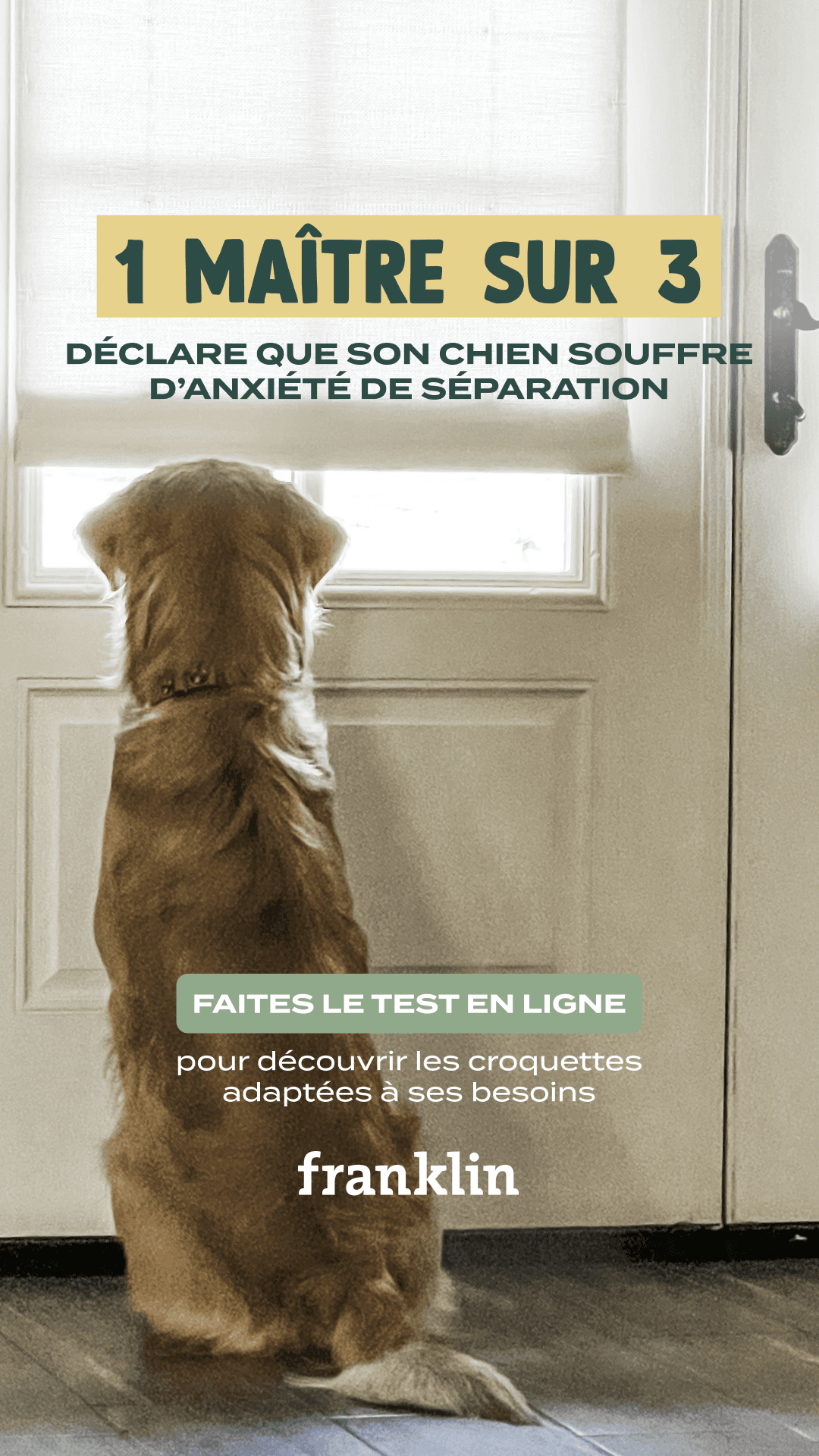 thumbnail-franklin-statistique-0