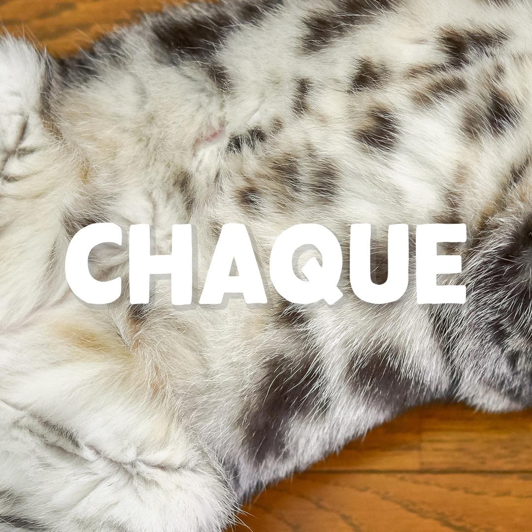 thumbnail-edgard-cooper-carrousel-0