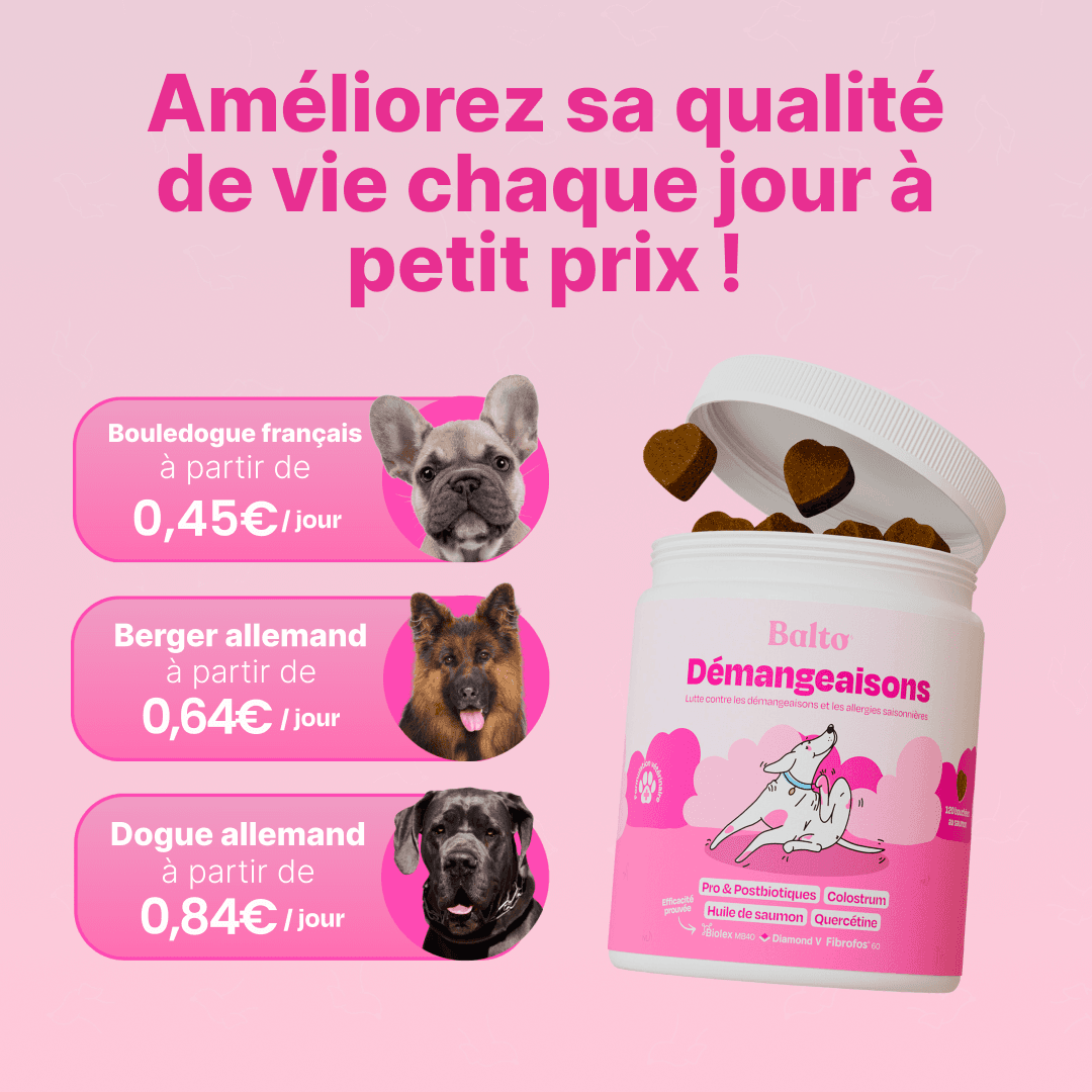 thumbnail-balto-statique-prix-0