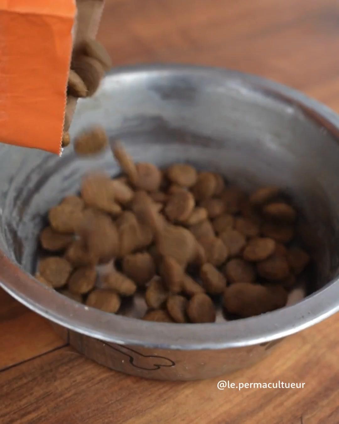 thumbnail-edgard-and-cooper-day-in-the-life-0