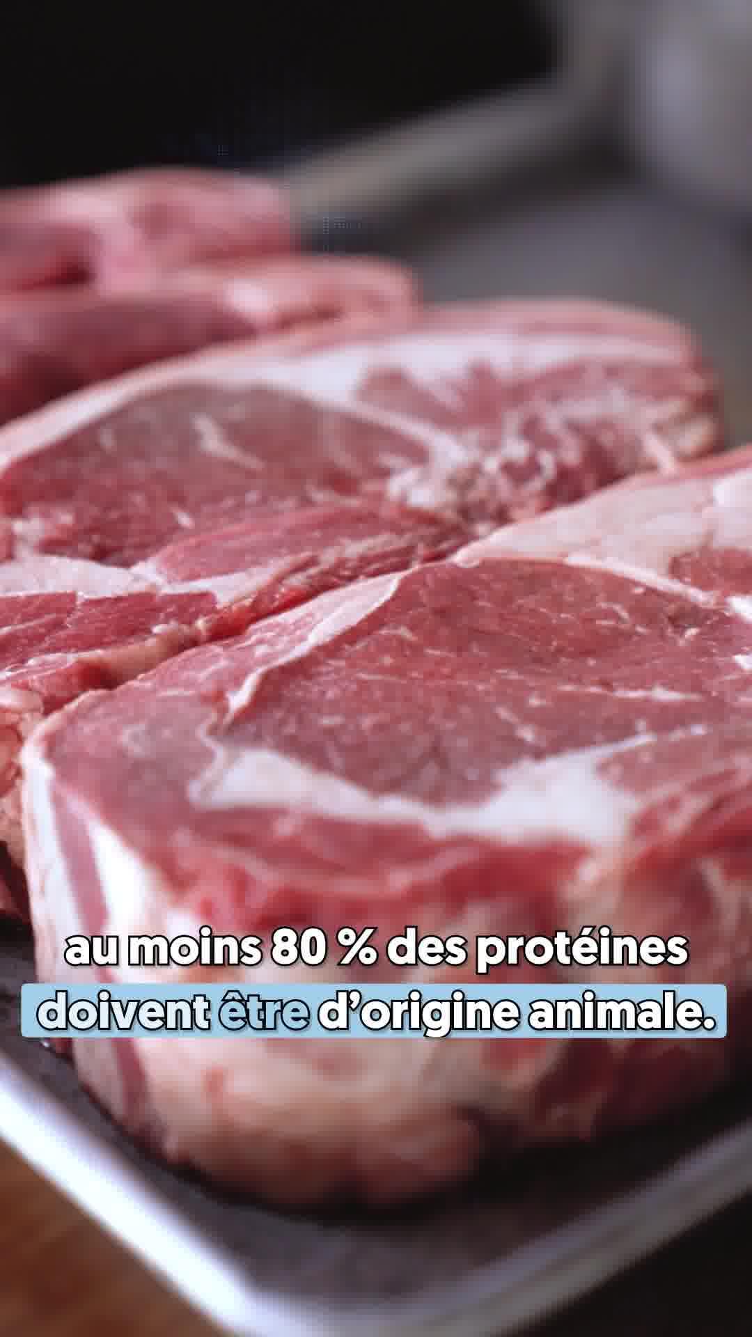 thumbnail-japhy-stop-scroll-poll-0