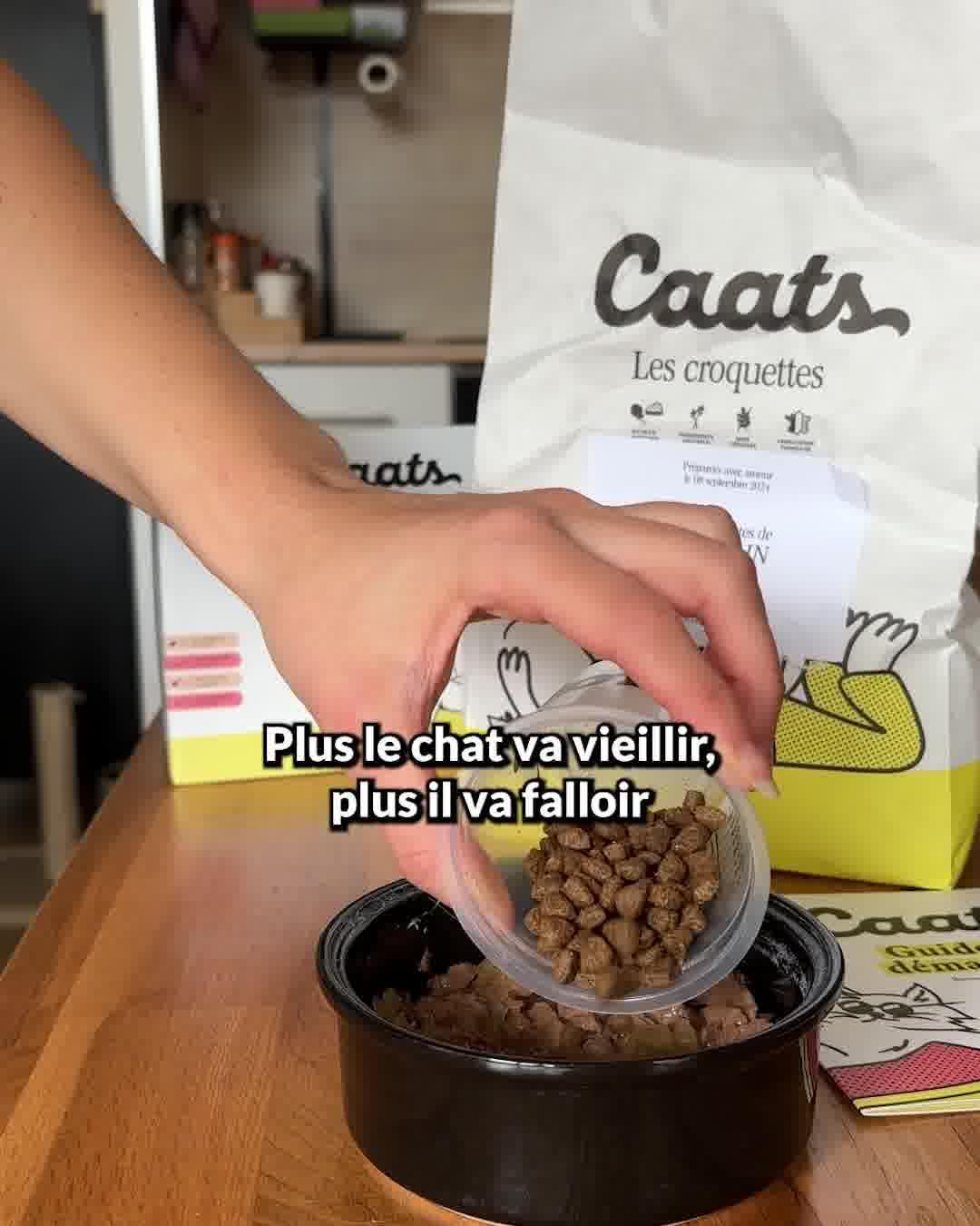 thumbnail-caats-video-pedagogique-0