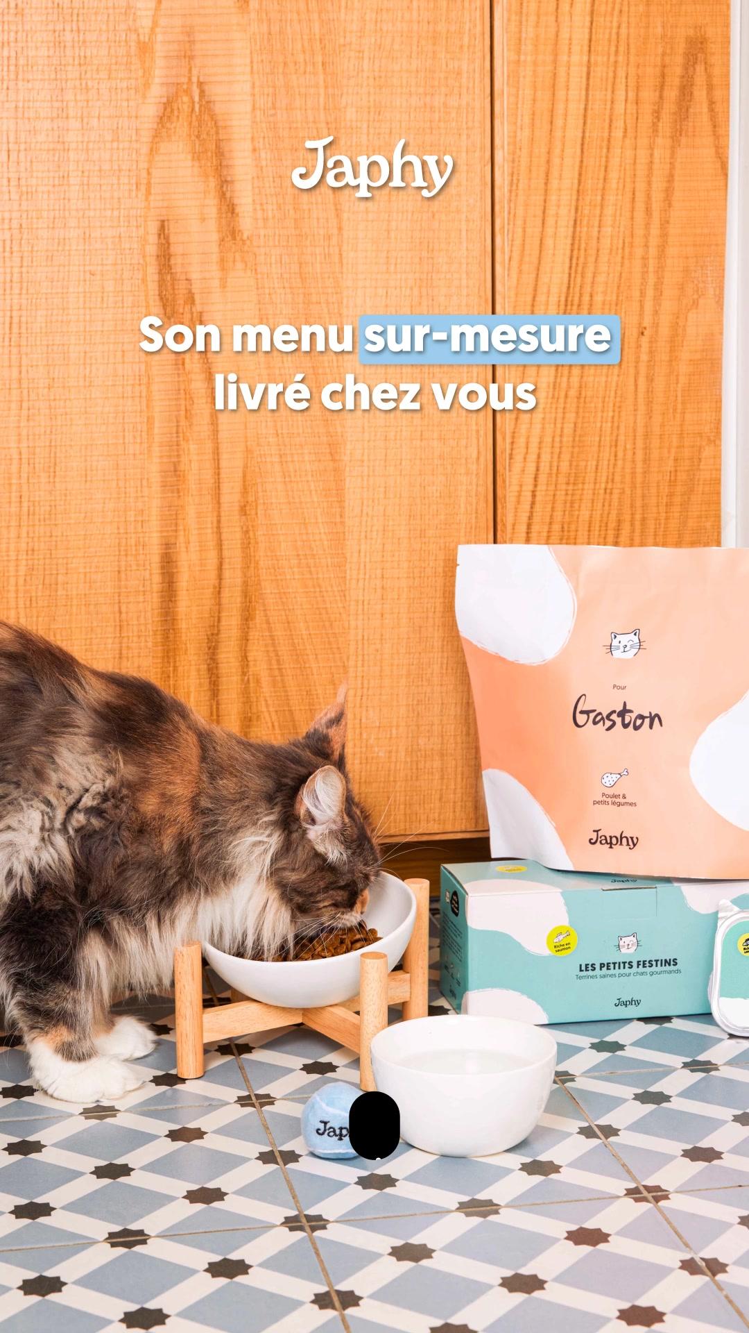 thumbnail-japhy-pov-0