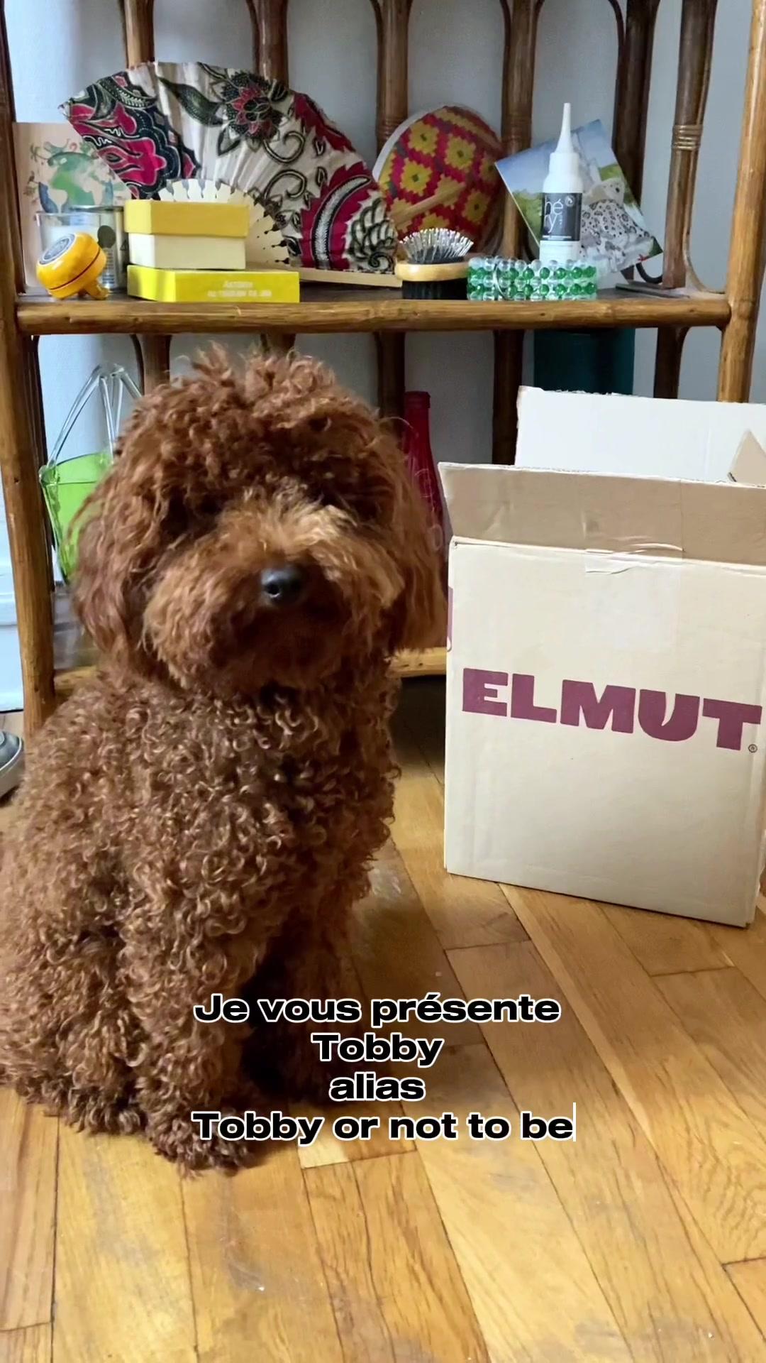 thumbnail-elmut-ugc-0