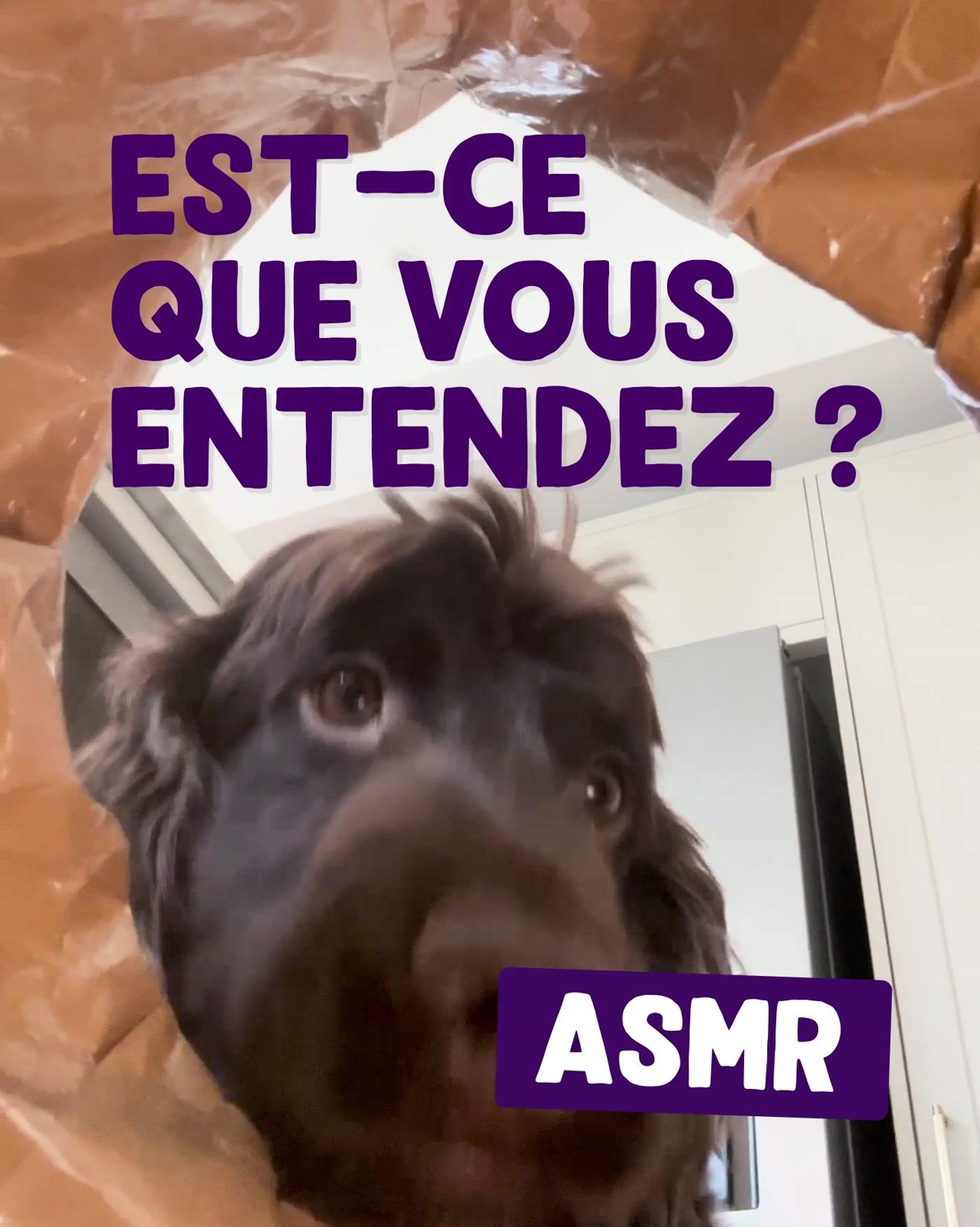 thumbnail-edgard-cooper-asmr-0