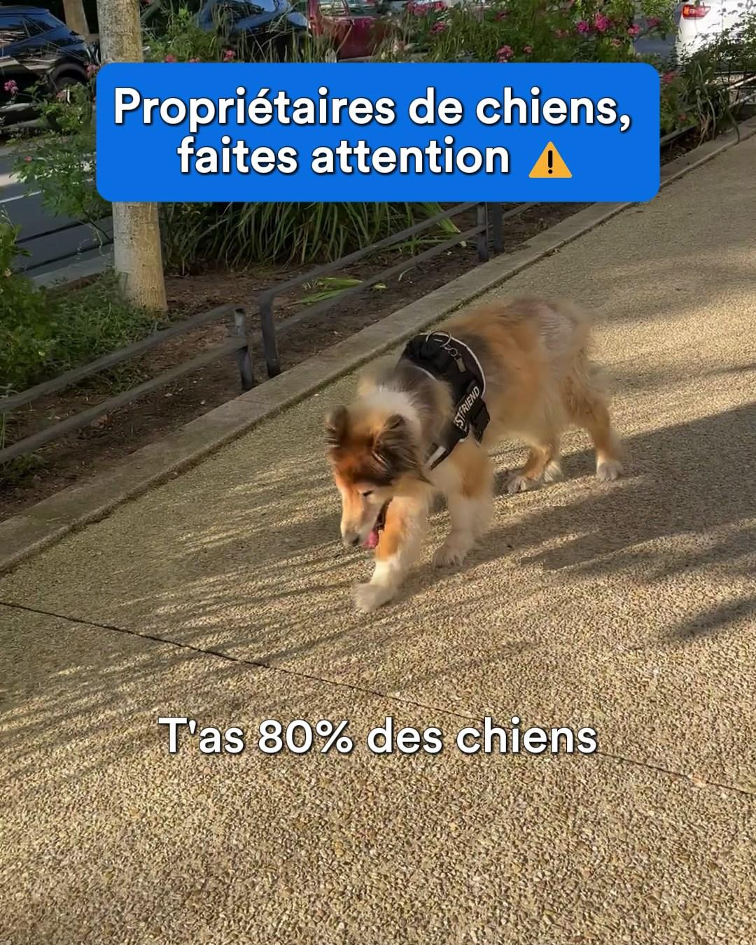 thumbnail-balto-video-founder-0