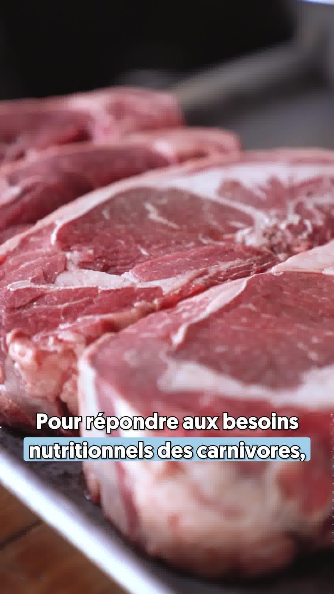 thumbnail-japhy-video-pedagogique-0