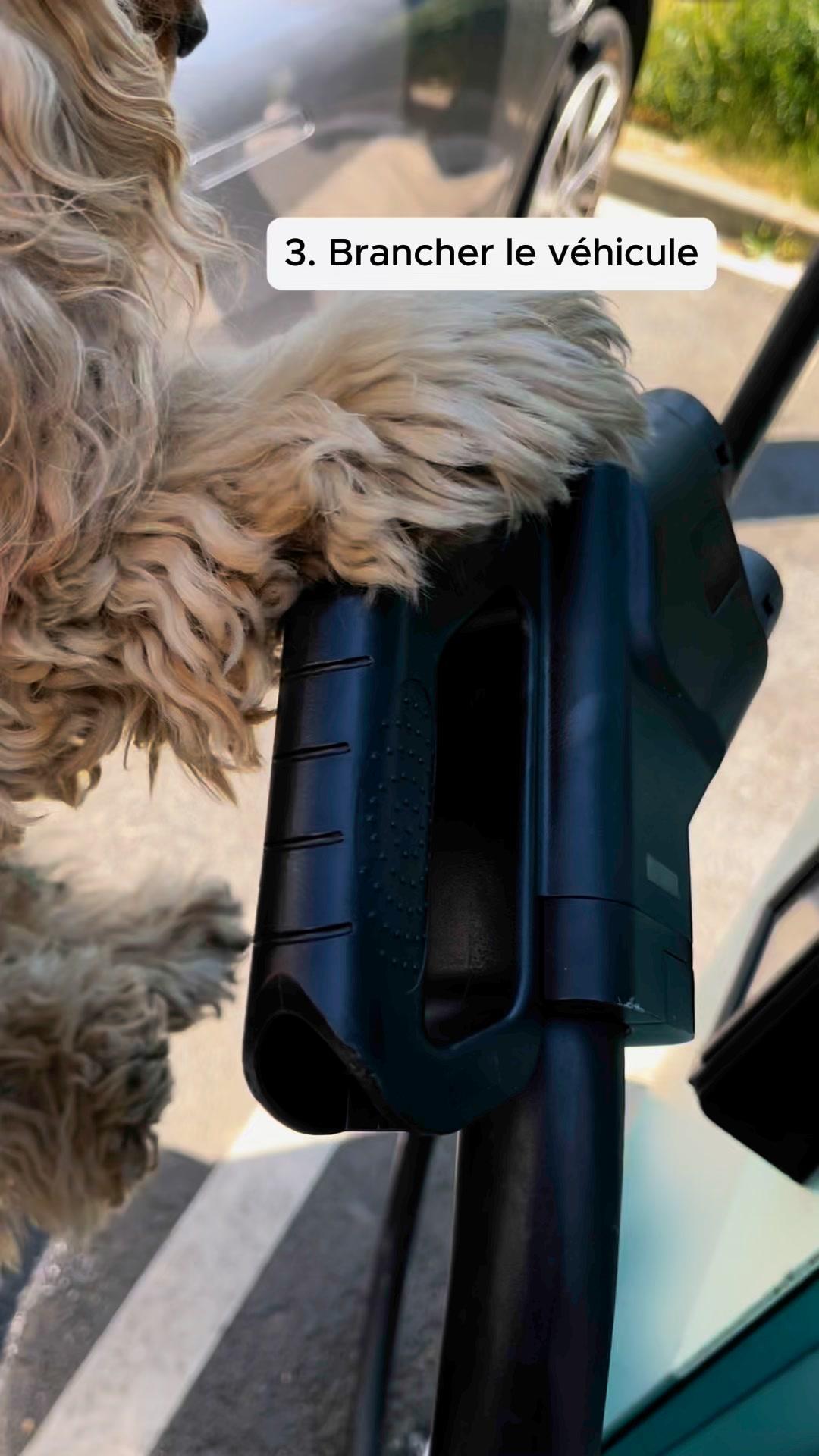 thumbnail-c9d1fa7e-442a-4feb-beac-8b21746bcb10-0